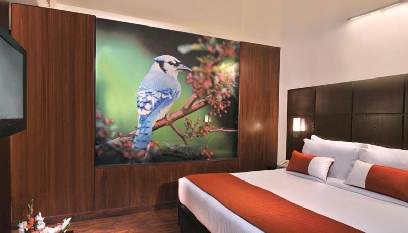 Comfort Inn Tulip Heights 巴廷达 外观 照片